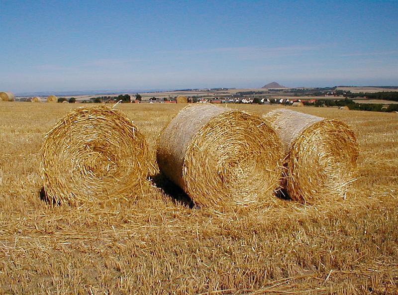 Garlton Ridge.JPG